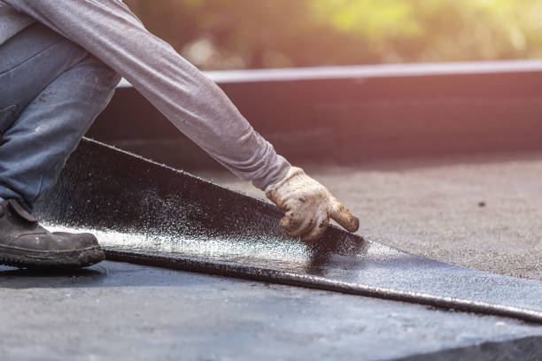 Professional Interior Drainage System technician working in Free Soil, MI